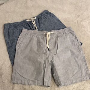 Banana Republic Blue and Gray Flat Front Shorts